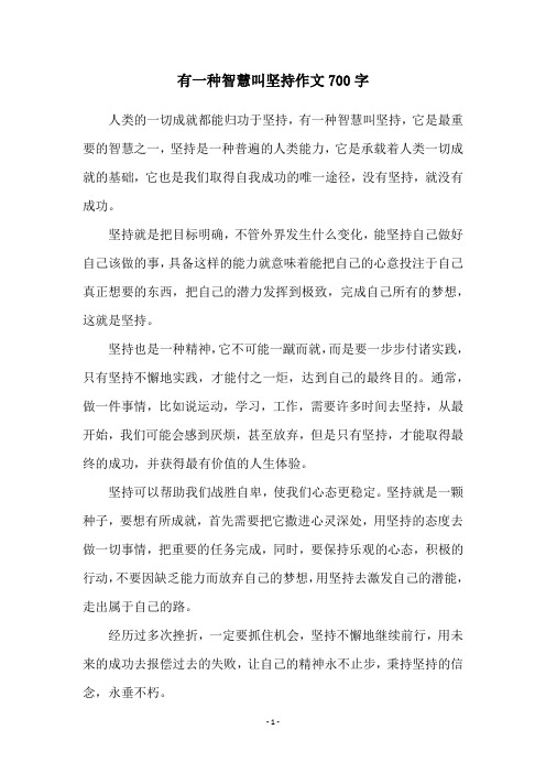 有一种智慧叫坚持作文700字