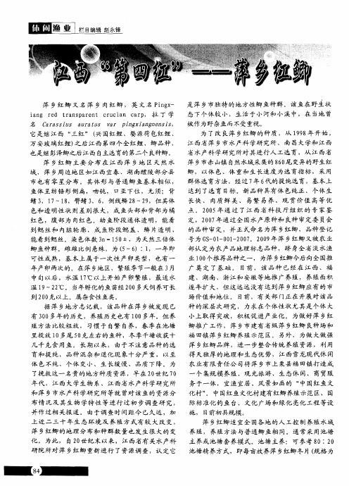 江西“第四红”——萍乡红鲫