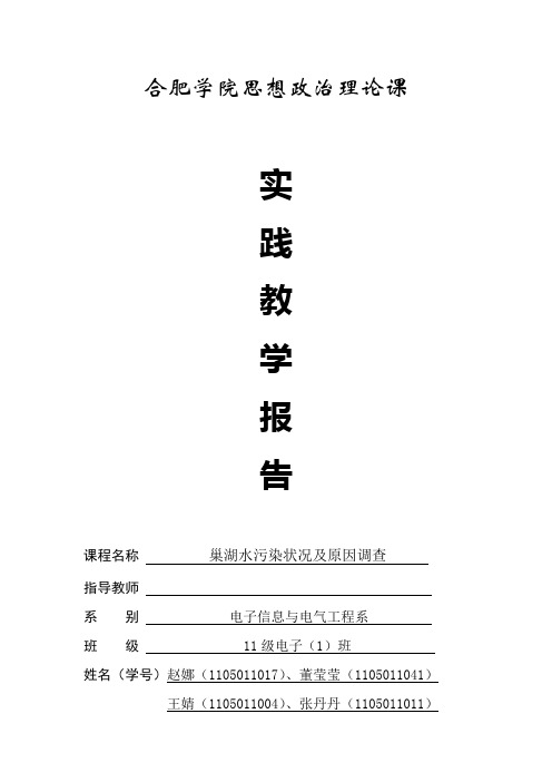 巢湖水污染状况及原因调查