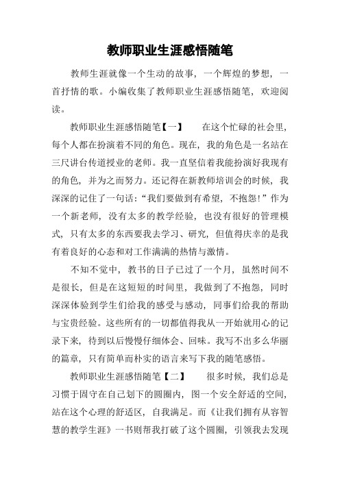 教师职业生涯感悟随笔