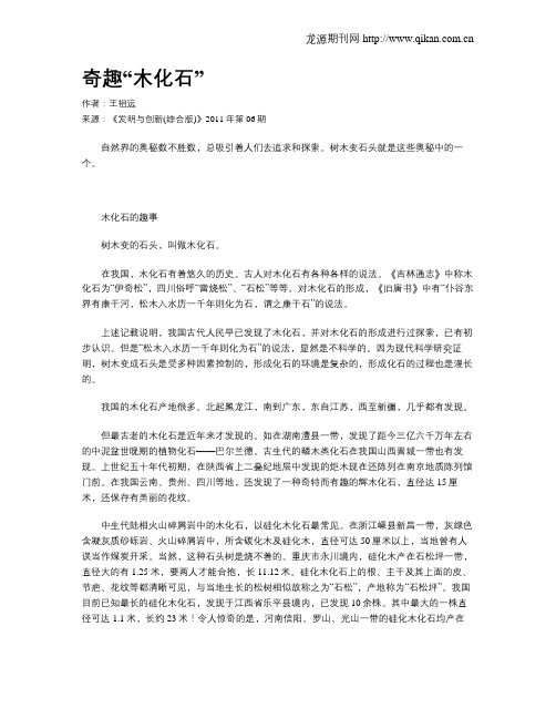 奇趣“木化石”