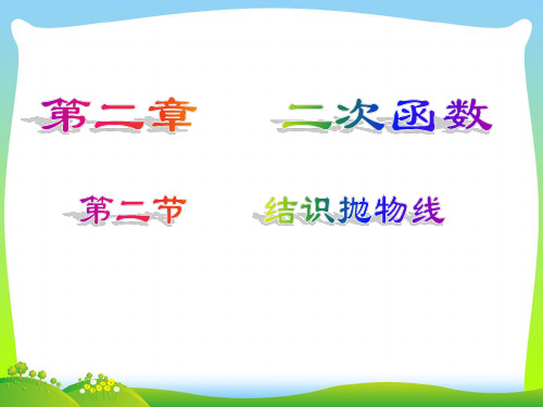 结识抛物线-课件