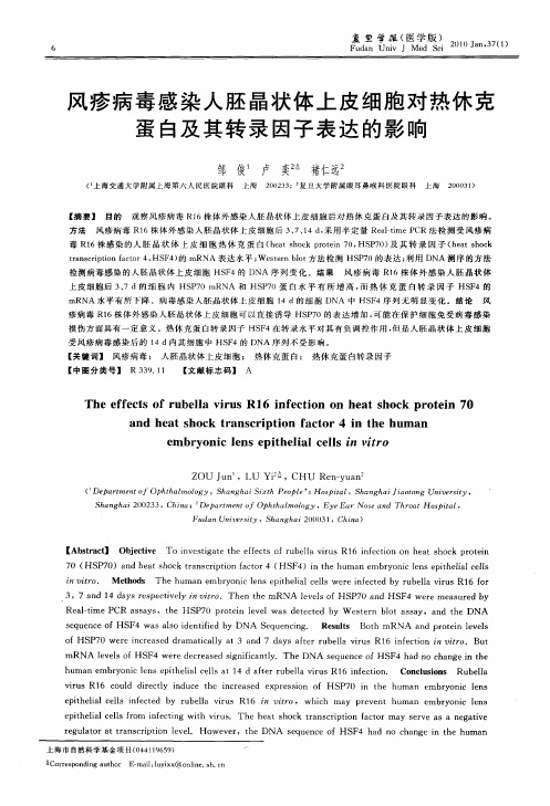 风疹病毒感染人胚晶状体上皮细胞对热休克蛋白及其转录因子表达的影响