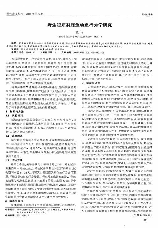 野生短须裂腹鱼幼鱼行为学研究