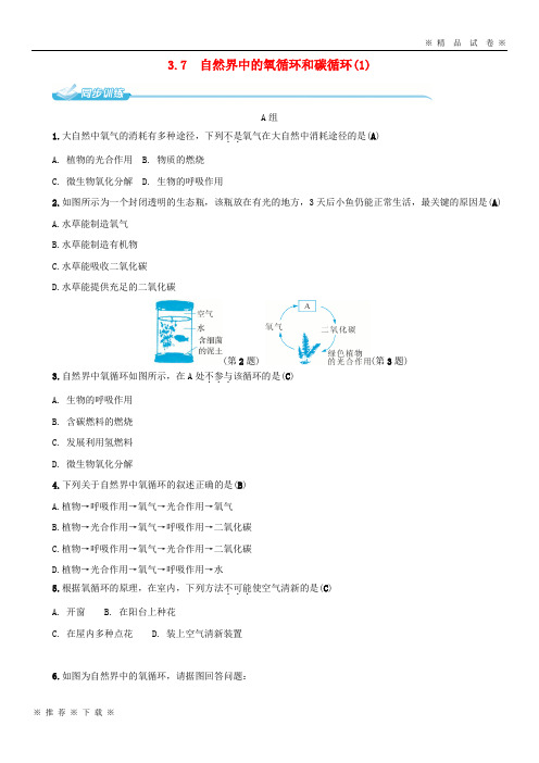 (部编版)2020八年级科学下册3.7自然界中的氧循环和碳循环1同步练习新版浙教版