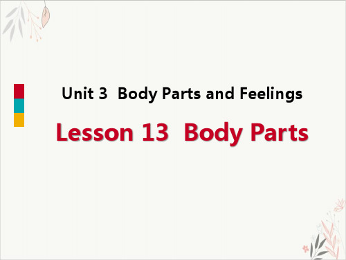 Body PartsBody Parts and Feelings 精品课件下载