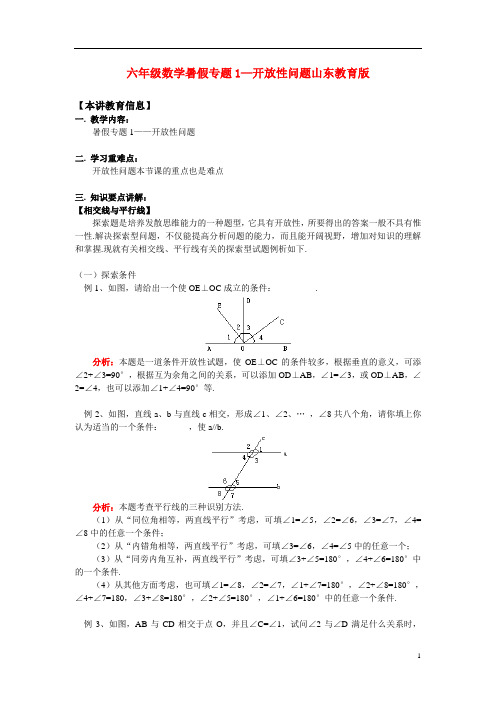 六年级数学暑假专题1—开放性问题山东教育版