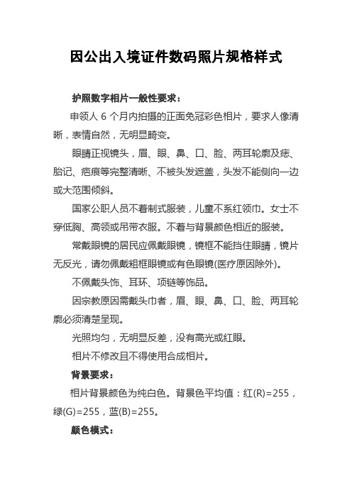 因公护照照片要求