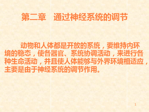 神经系统概述ppt课件