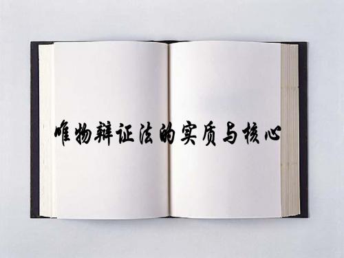 9.唯物辩证法的实质与核心