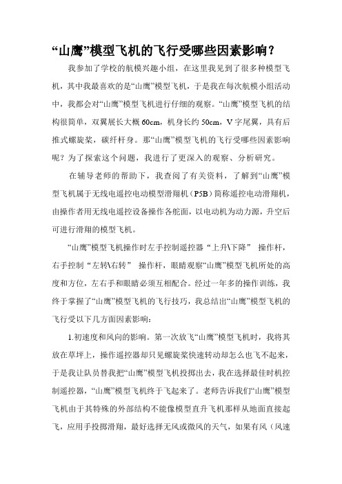 “山鹰”模型飞机