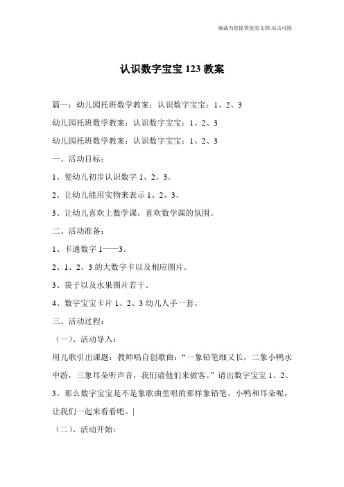 认识数字宝宝123教案