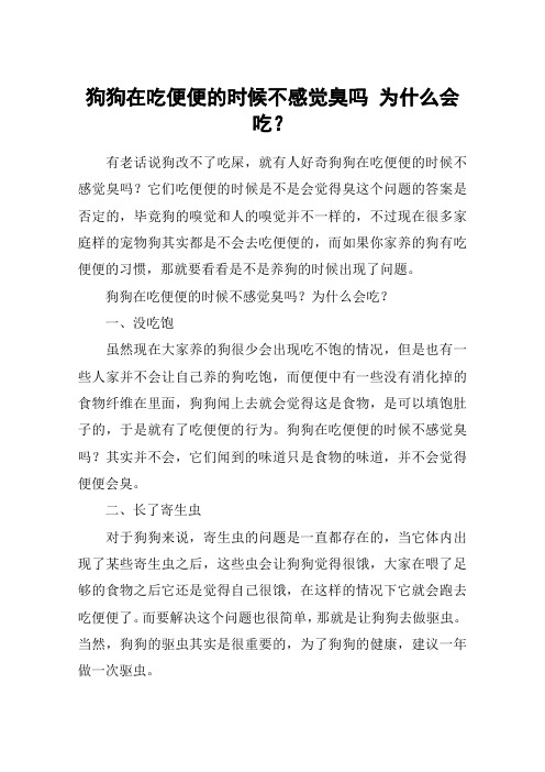 狗狗在吃便便的时候不感觉臭吗 为什么会吃？