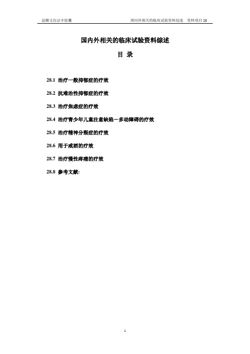 文拉法辛注册申请资料28号资料