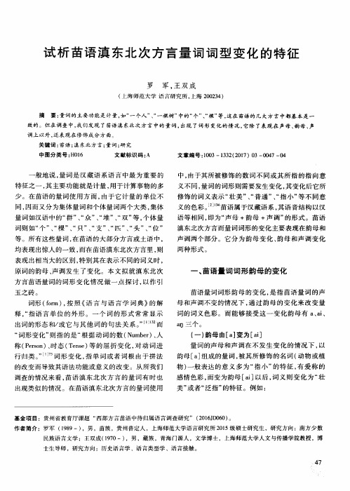 试析苗语滇东北次方言量词词型变化的特征