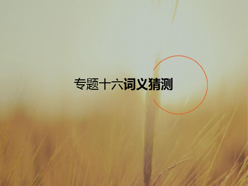 2018届高考英语一轮课标通用课件：专题16 词义猜测 精品
