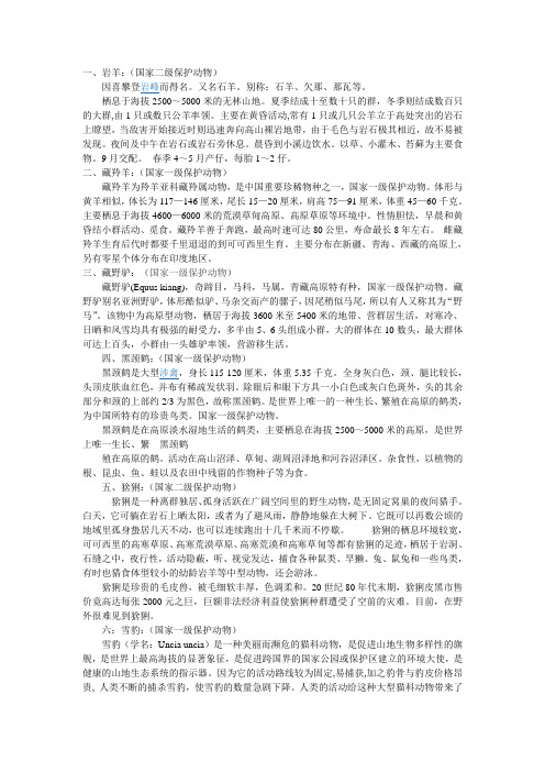 高原野生动物