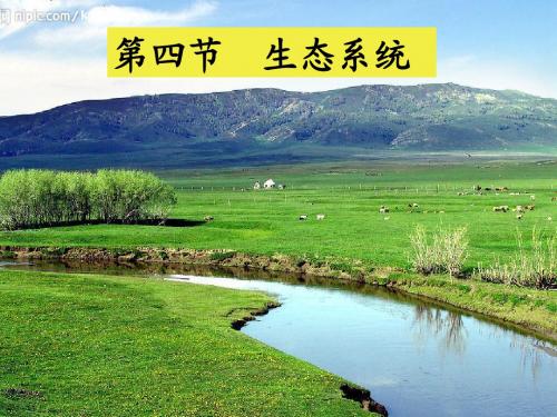 人教版七年级上册生物1单元2章4节生态系统二课时精品课件