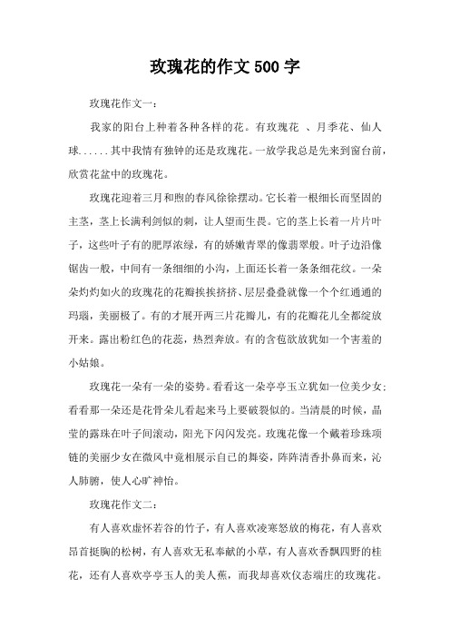 玫瑰花的作文500字