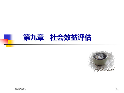 项目评估chap9社会效益评估