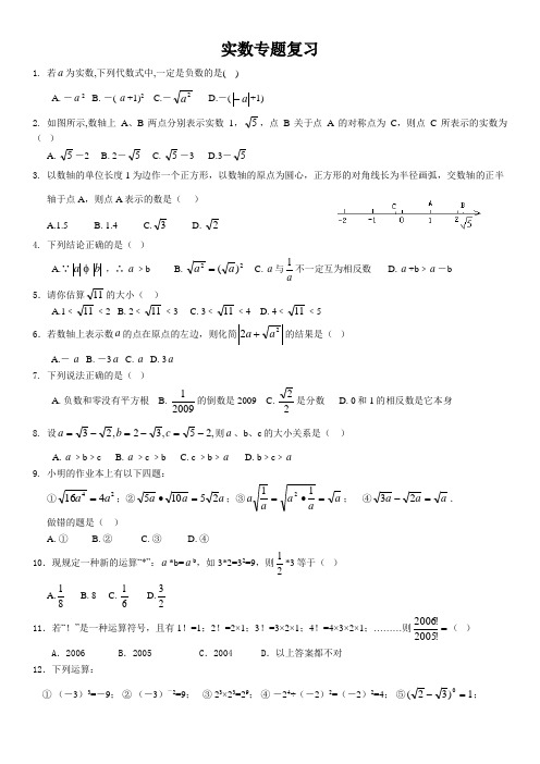 实数专题复习(含答案)