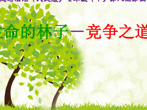 生命的林子PPT课件1 人民版