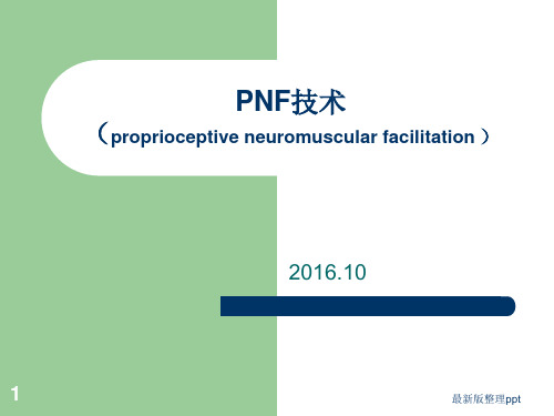 PNF的概述ppt课件