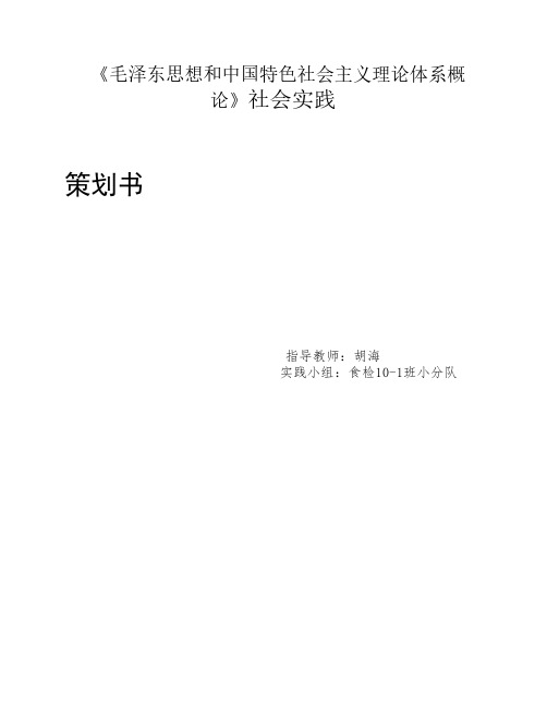 毛概策划书 居民家庭消费状况调查