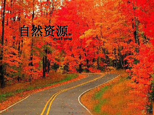 为明实验学校八年级地理《自然资源》课件 