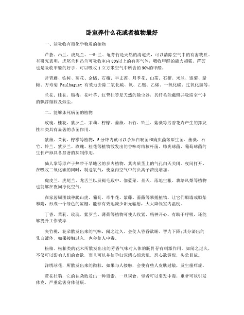 卧室养什么花或者植物最好