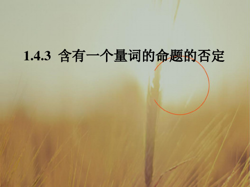 内蒙古元宝山区平煤高级中学高中数学选修2-1课件：1.4.3含有一个量词的命题 共16张 精品