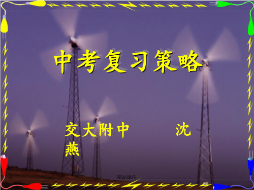 中考物理复习策略(共25张PPT)