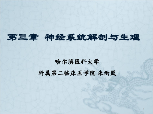 第三章神经系统解剖与生理讲述