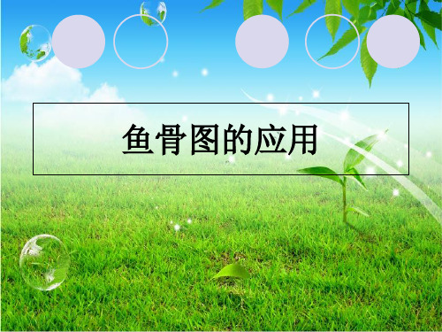 鱼骨图的应用PPT课件