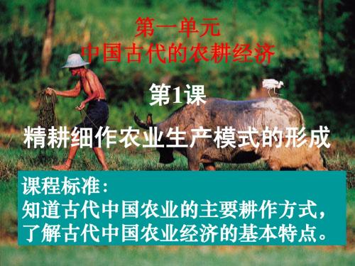 中国古代精耕细作农耕经济
