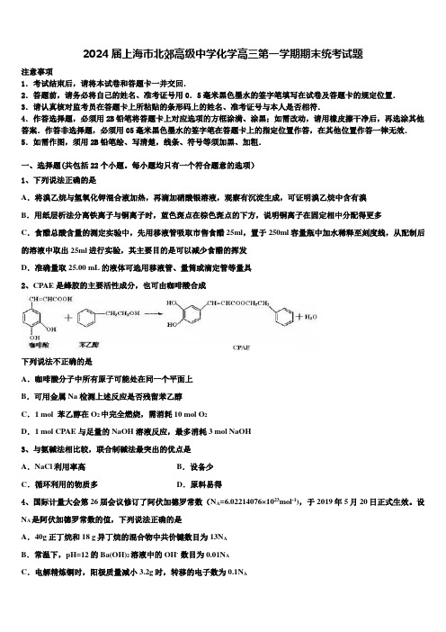 2024届上海市北郊高级中学化学高三第一学期期末统考试题含解析