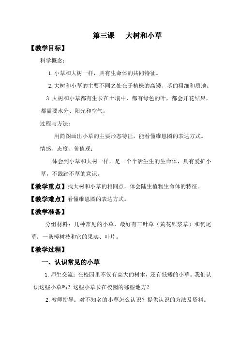【教科版】三年级科学上册《1.3、大树和小草》教案