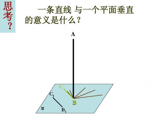 数学：2.3.3《直线、平面垂直的判定和性质》课件(新人教A版必修2)