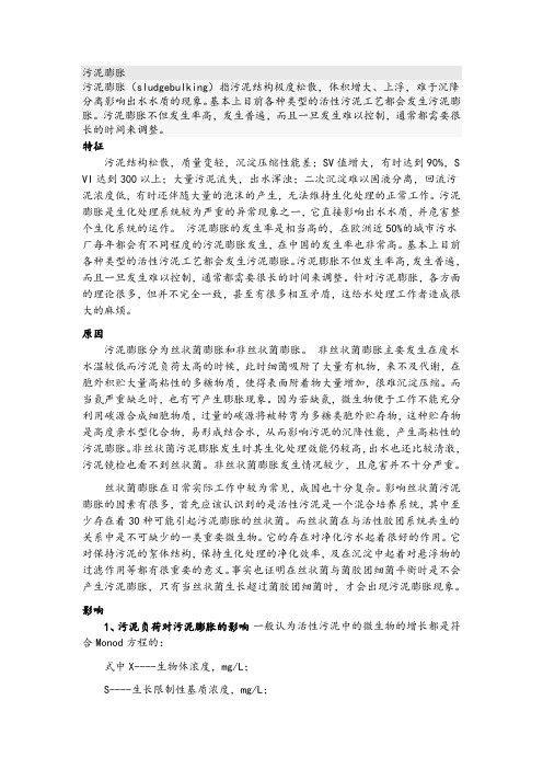 污泥膨胀