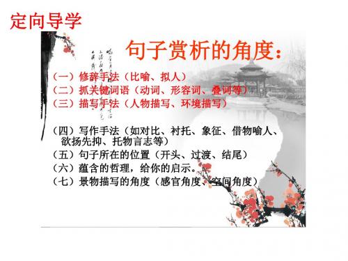 九年级语文复习课件：标题的作用 (共15张PPT)