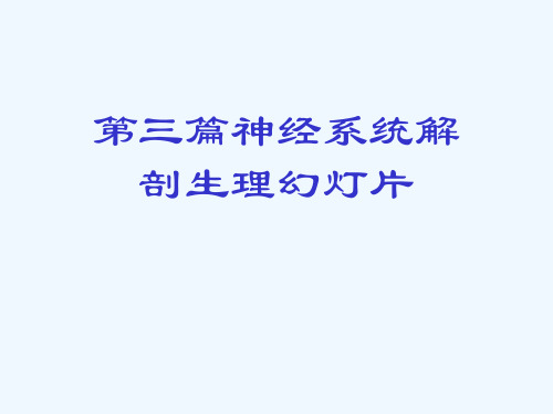 第三篇神经系统解剖生理幻灯片