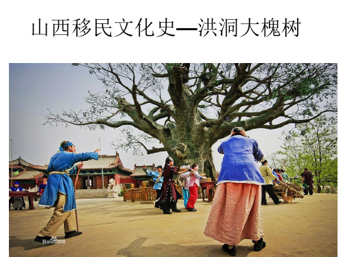 山西移民历史—洪洞大槐树