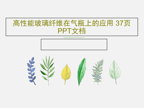 高性能玻璃纤维在气瓶上的应用 37页PPT文档共39页
