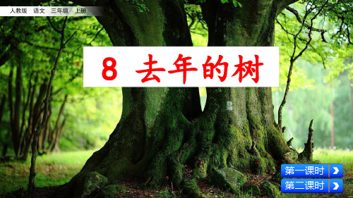部编人教版三年级语文上册第8课《去年的树》精美PPT课件