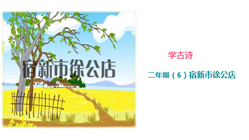 《宿新市徐公店》上课课件(共17张ppt)