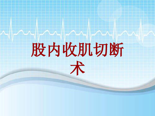 手术讲解模板：股内收肌切断术