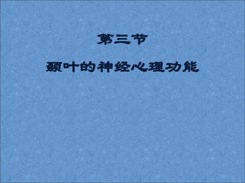 颞叶枕叶的神经心理功能神经心理学