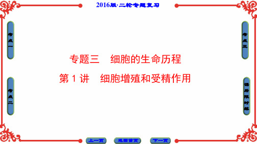 《新坐标》高考生物第二轮复习 第1部分专题3第1讲PPT课件