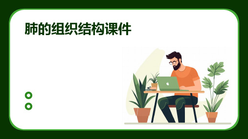 肺的组织结构课件