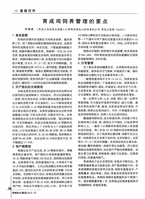 育成鸡饲养管理的要点